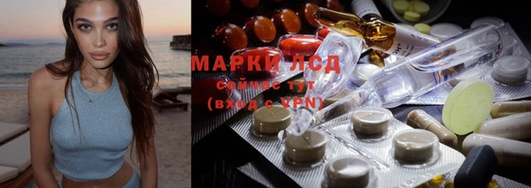 индика Краснослободск