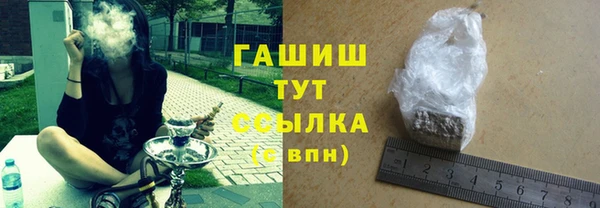индика Краснослободск