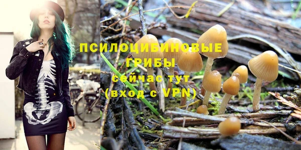 мескалин Корсаков
