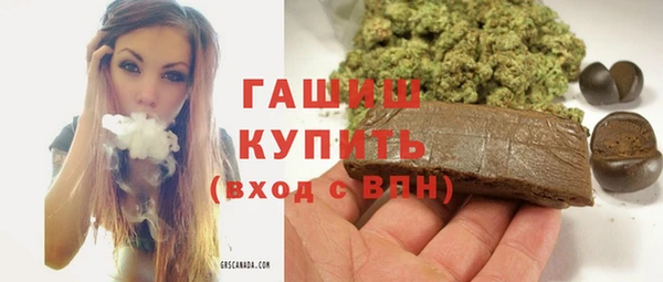 индика Краснослободск