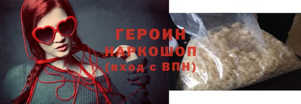 индика Краснослободск