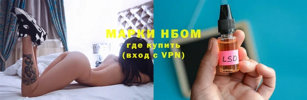 индика Краснослободск
