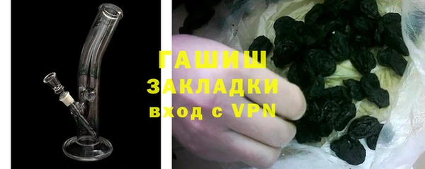 индика Краснослободск