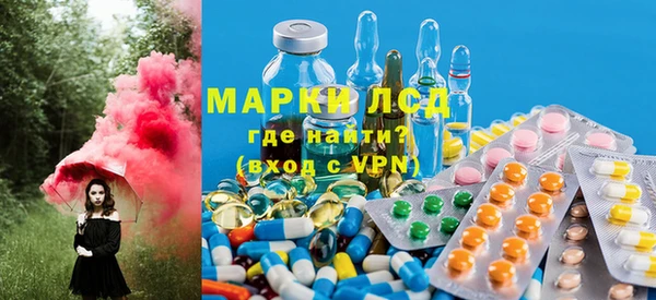 индика Краснослободск