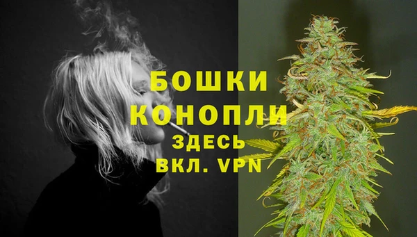 индика Краснослободск