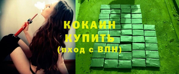 индика Краснослободск