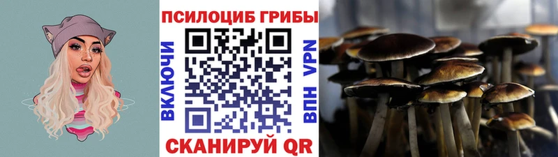 Купить где  Магнитогорск  Псилоцибиновые грибы прущие грибы 